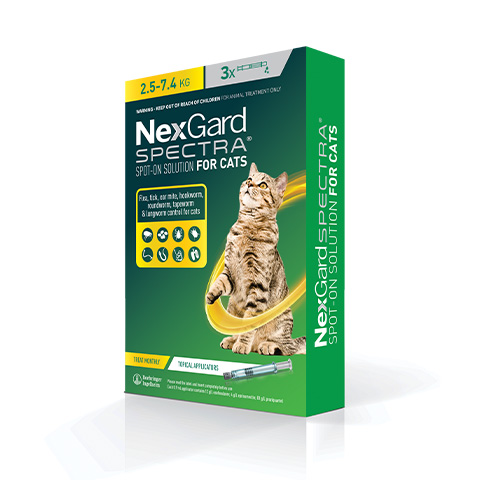 NEXGARD SPECTRA for Cats Pipet flea and tick treatment